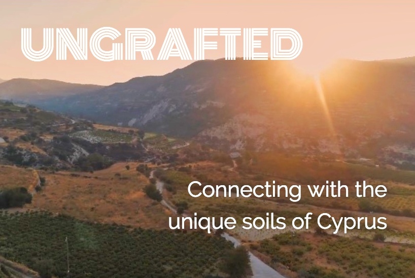 Ungrafted - unique soils of Cyprus