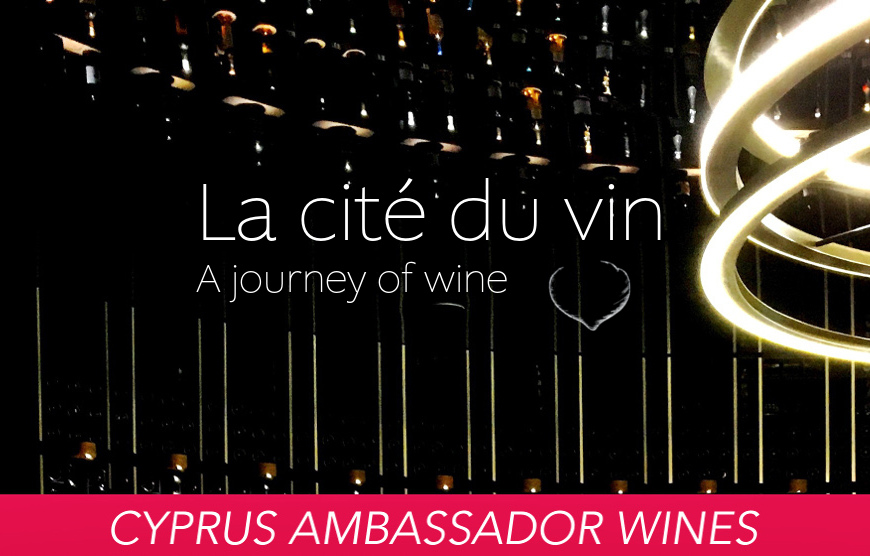 cyprus ambassador wine program