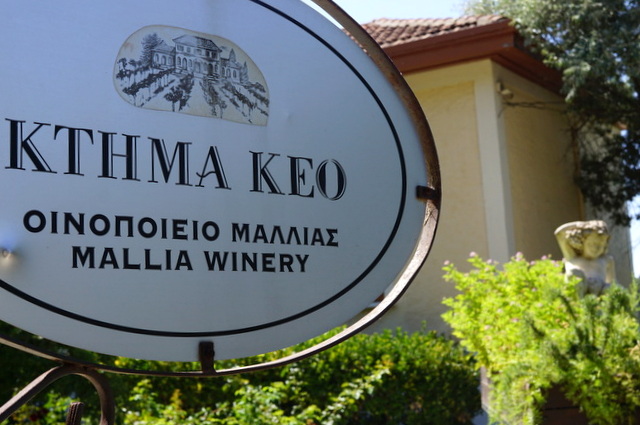 Ktima Keo - Mallia Winery | Cyprus Ambassador Winery