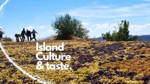 island culture and taste